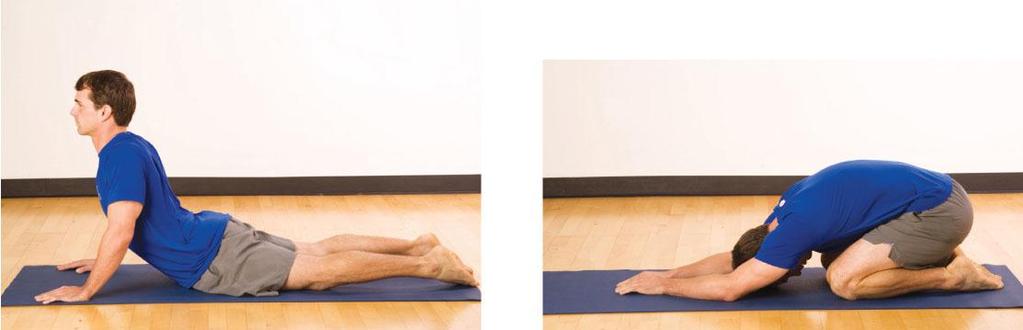 Clearing Test: Low Back The client performs the following movements from a prone position while the personal trainer monitors for any indication of pain: Slowly move into a trunk-extension position,