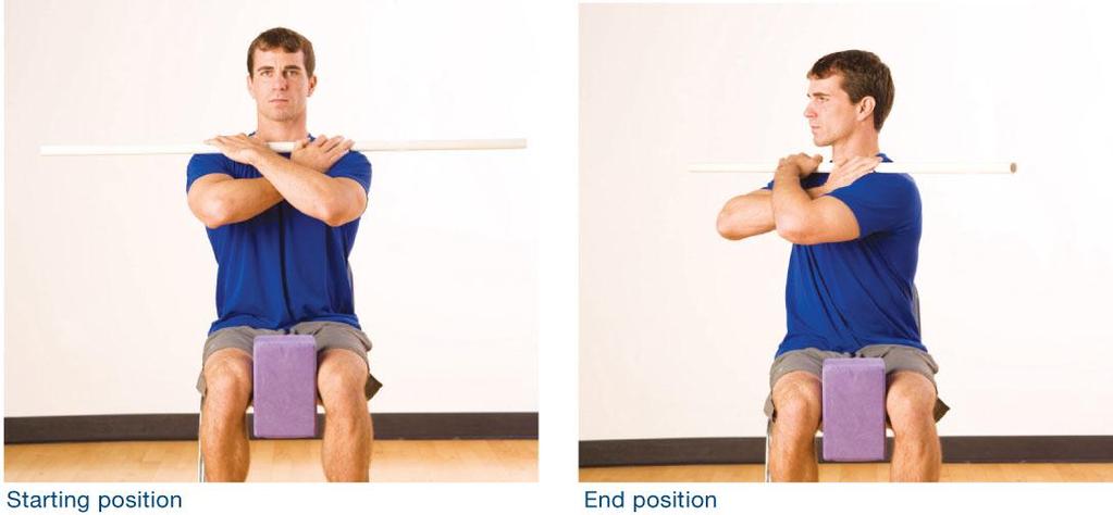 Thoracic Spine Mobility Screen: Objective To examine bilateral mobility of the thoracic spine