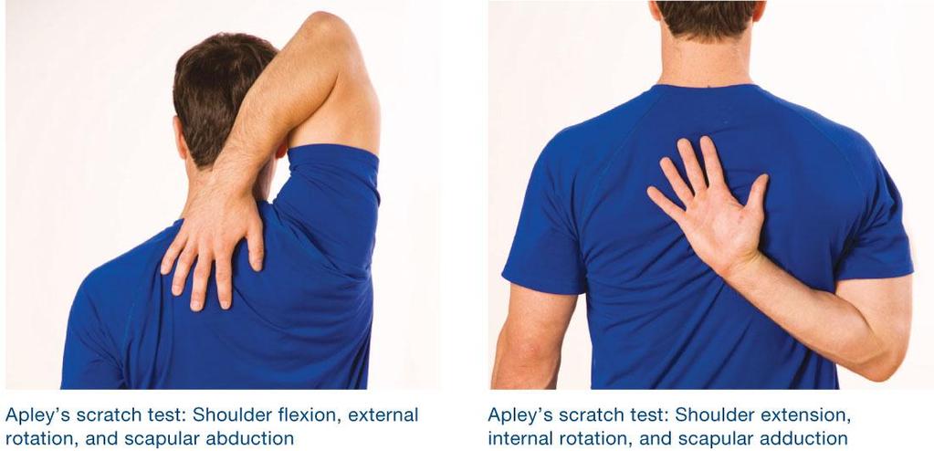 Apley s Scratch Test Shoulder Mobility: Objective To assess simultaneous movements of the shoulder girdle (primarily the scapulothoracic and