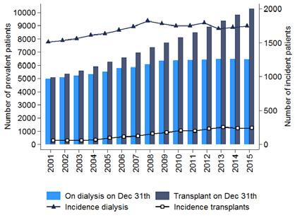 2. PREVALENCE AND INCIDENCE OF DIALYSIS AND RENAL TRANSPLANTS The prevalence of patients with dialysis has been quite stable since 2009, whilst the number of patients living with a functioning renal