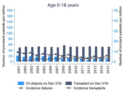 Figure 2.5 shows the prevalences and incidences of dialysis and renal transplants in different age categories.