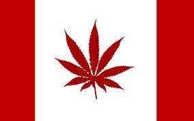 Marijuana Canada and Mexico The major cash crop of Canada and Mexico Medical marijuana is legal in Canada