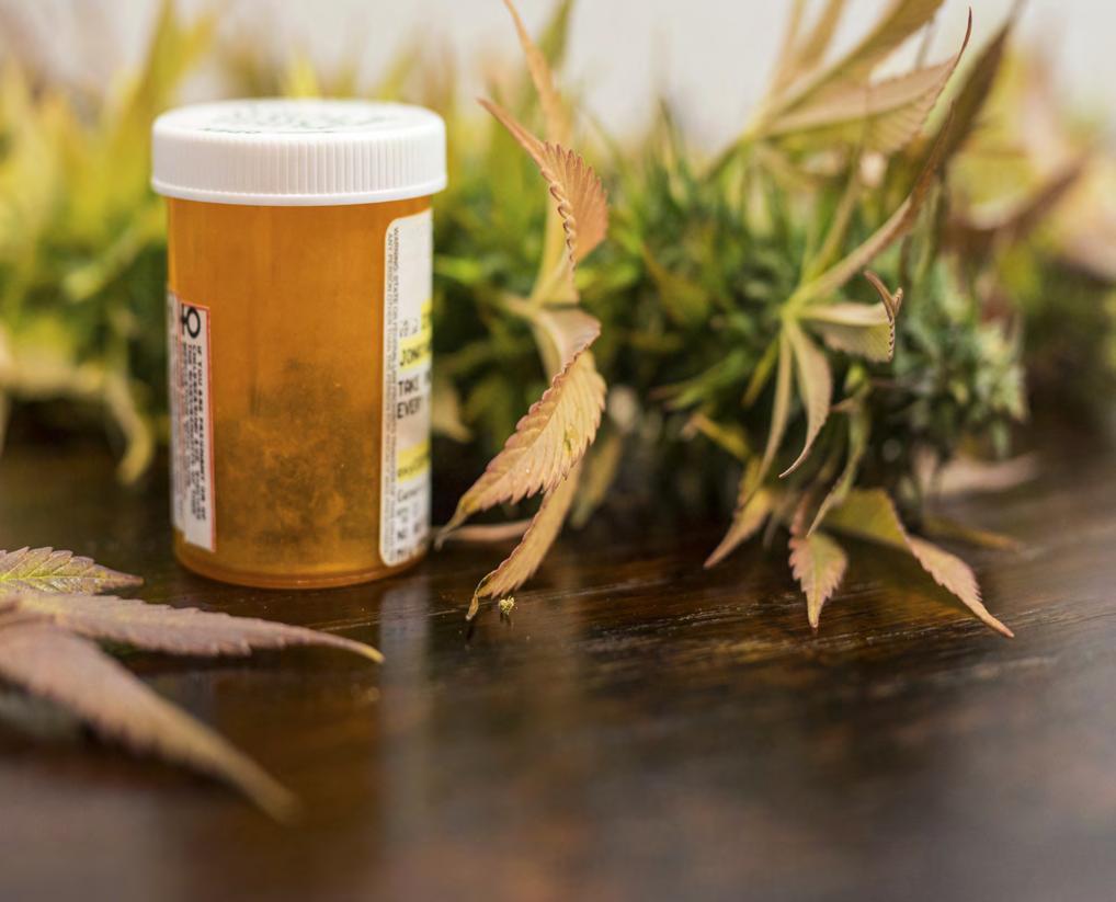 There are, however, two cannabis extract products currently undergoing the FDA clinical trial process. These are Epidiolex and Sativex, two drugs that use cannabis extracts.