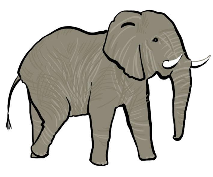 Histology of the cancer Bringing an elephant