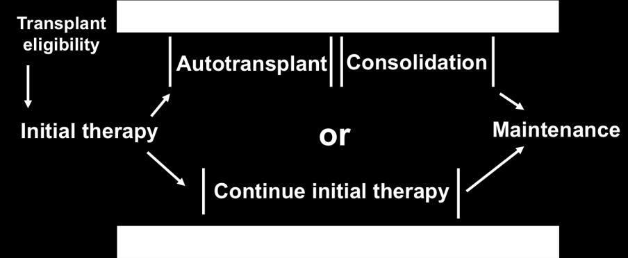 Current Paradigm of Initial Treatment Adapted from Ludwig H, et al. Oncologist. 2012;17:592-606. Richardson P, et al. Br J Haematol. 2011;154:755-762.