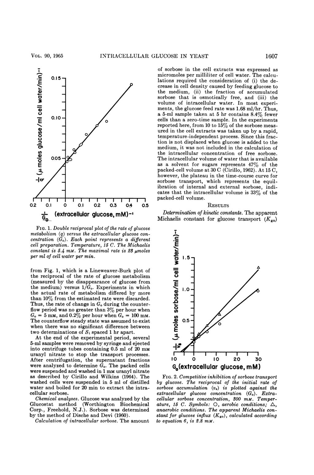 VOL. 9, 1965 INTRACLLULAR GLUCOS IN YAST 167 T C I 4-7o U) -.2.1.1.2.3.4.5 (extracellular glucose, mm)-' FIG. 1. Double reciprocal plot of the rate of glucose metabolism (q) versus the extracellular glucose concentration (G).