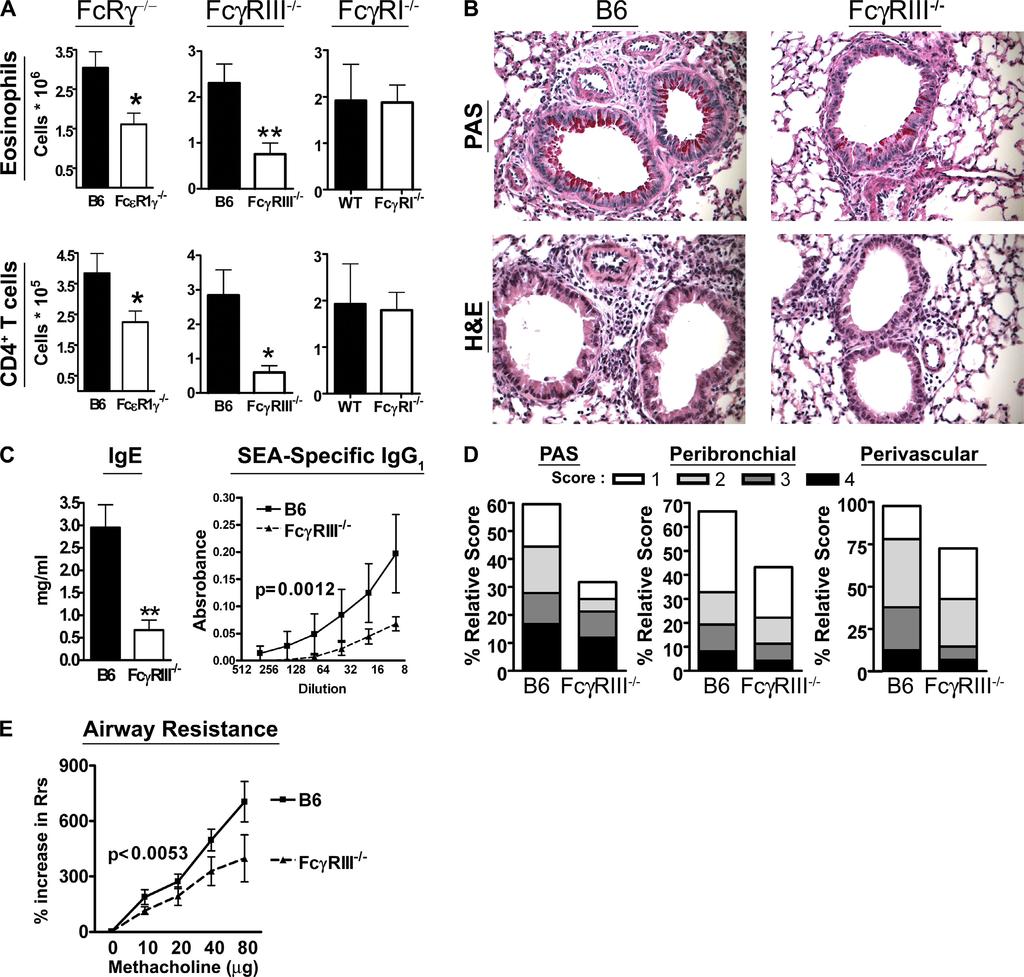 CD4 T cell differentiation, IL-10 may not play a role in the augmentation of eosinophilia.