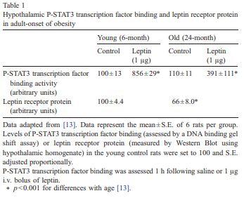 Experiment 3: Age-Related Leptin Resistance (cont.
