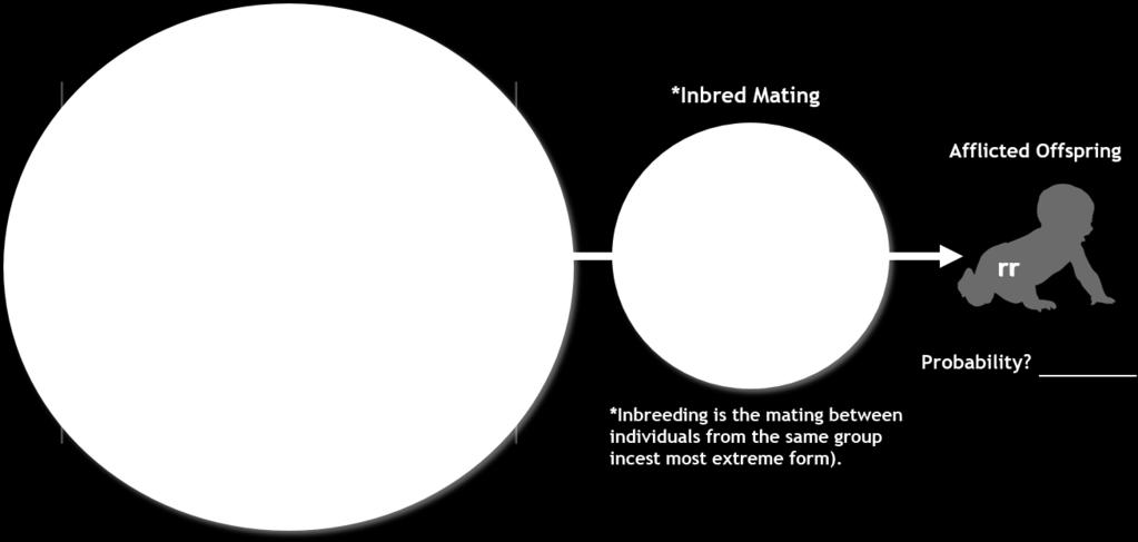 Consequently, mating between related individuals is likely; since such individuals are likely to carry the same harmful alleles, mating between them is more likely to produce affected offspring.