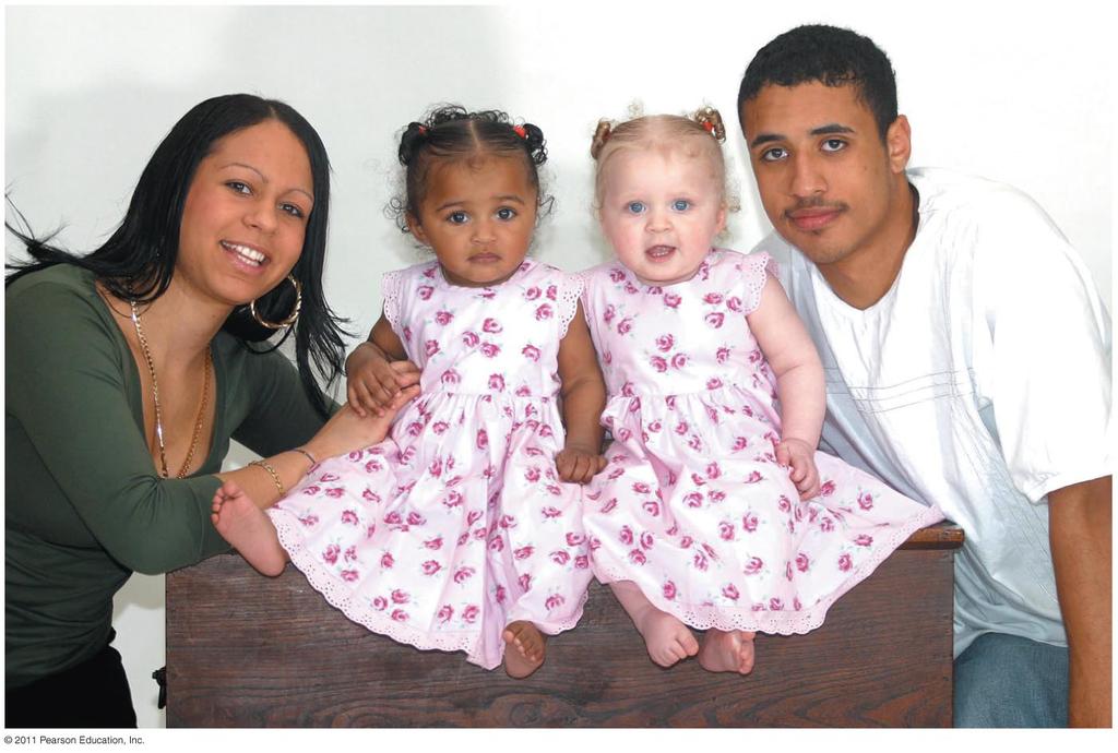 Fraternal twins whose parents are both mixed race (blackwhite unions).