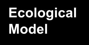 Ecological Model Community and policy System, group, culture Family, friends, small group