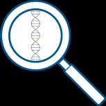 TYPES OF GENETIC DISEASE + Single-gene Disorder X X Y