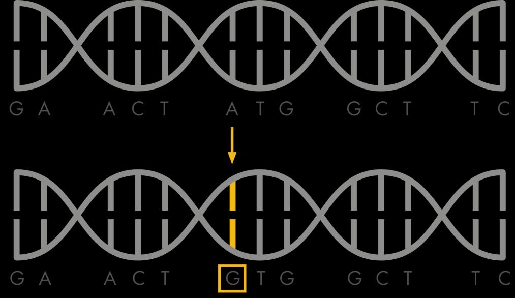MUTATIONS ARE CHANGES IN GENES Mutations can be passed