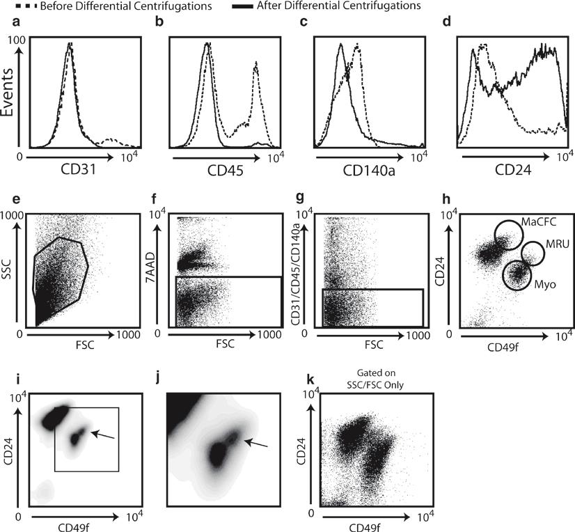 Use of Stem Cell Markers in Dissociated Mammary Populations 51 Fig. 1. FACS analysis of CD24/CD49f cell populations in primary MECs.