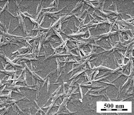 Chitin nanofibrils (CN) MAV