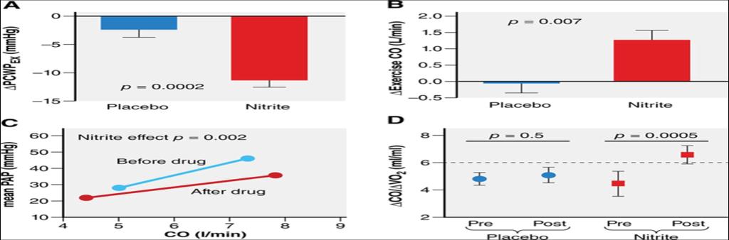 Nitrites in HFpEF acute infusion of