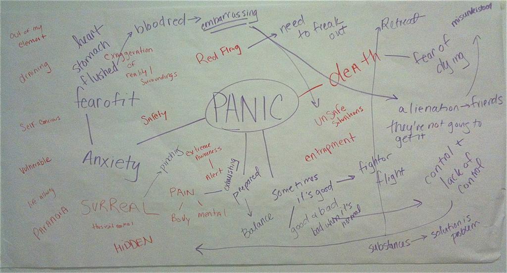 Figure 11. Case 1, session 1 panic brainstorm. Markers on butcher paper; 5x3.