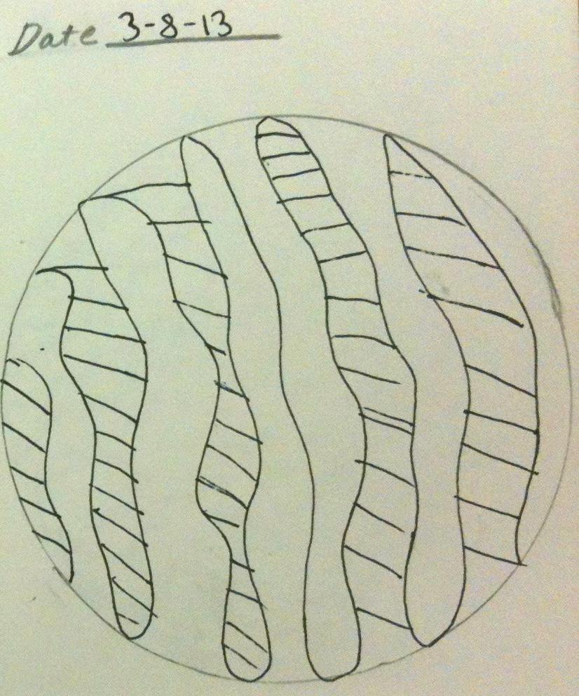 Figure 22. Mandala 1. Pen on drawing paper, 5x7.
