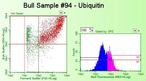 Evaluates 5000 sperm/min Biological Markers Associated with Fertility Bull Fertility Biomarker Trial - UBI Normal Histogram Abnormal Histogram Ubiquitin