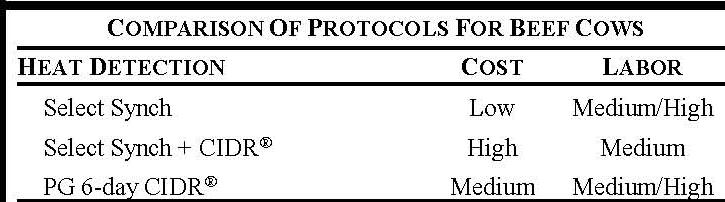 Cow Protocols - 2012