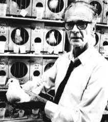 B.F. Skinner: Master of Pigeons 7 Skinner s Experiments Skinner s experiments extend Thorndike s