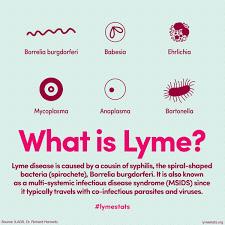 The Many Names of Chronic Lyme» Persistent Lyme Disease» Late Stage Neurological Lyme Disease» PTLDS (Post Treatment Lyme Disease Syndrome) = CDC s definition» MSIDS (Multi-systemic infectious
