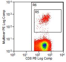 Example of dot plot showing CD8-staining and MHC Multimer staining: Record results as follows: Number of CD8-positive T cells (number of events in gate R6, in the above example).