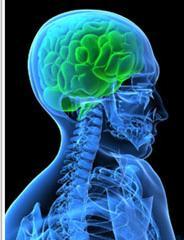 Brain Injury CPR restores ROSC in 30-70% > 65% die a neurological death