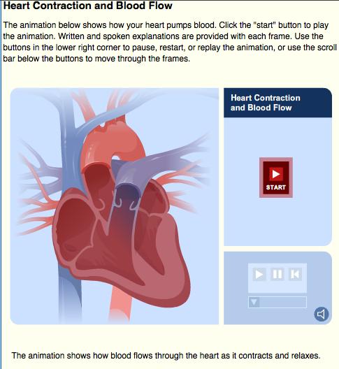 Heart Operation Explanation (Take 3) http://www.