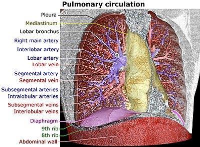 Pulmonary Embolism: Assessment, risk-stratification, and treatment plan for the outpatient management of low-risk patients Presentation by Joshua T. Wood, PharmD/PGY-1 Resident Providence St.