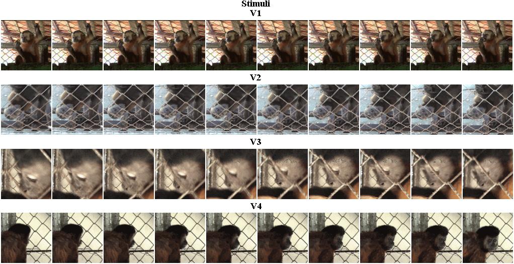 212 Brino et al technical reasons, we used 4-choice instead of 9-choice trials in Study 2. The frames of each video image used as stimuli in Study 2 are shown in Figure 3.