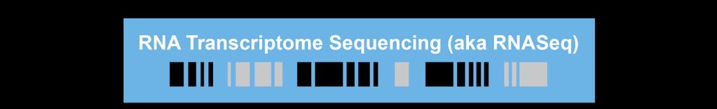 Information Provided by RNA Sequencing GENE EXPRESSION SEQUENCE