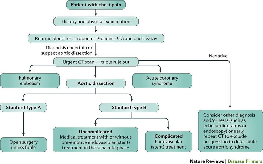 An algorithm for the identification and treatment of aortic dissection in patients presenting with