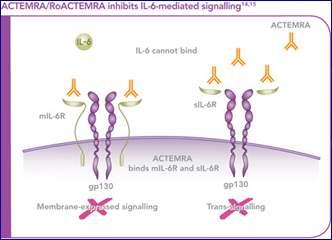 Biologics Actemra (Tocilizumab) 8 mg/kg ACTEMRA is indicated for the treatment of active systemic juvenile idiopathic arthritis in patients 2 years of age and older who have