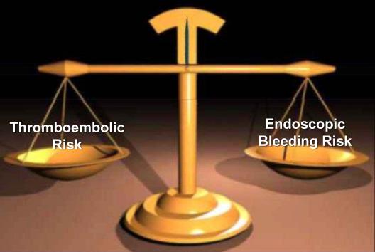 Major considerations for endoscopy and antithrombotics Procedural risk