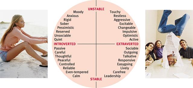 down to two polar dimensions, extraversion-introversion and emotional stabilityinstability.
