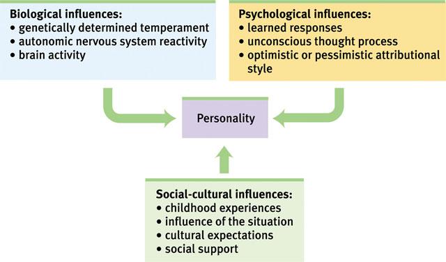 Behavior Behavior emerges from an interplay of external and internal influences.