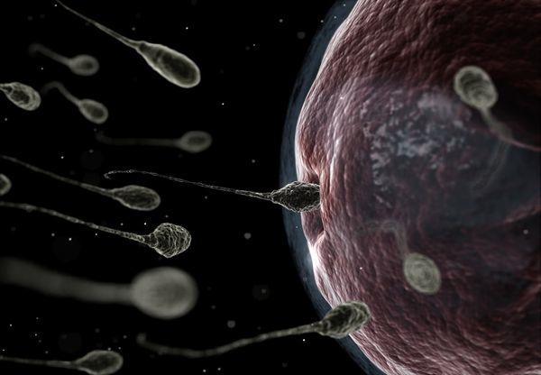 Status of male fertility 15% of couples have fertility problems in