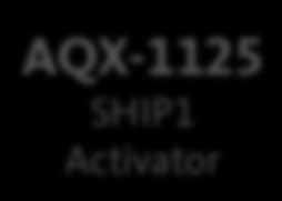 Phase 1 Phase 2 AQX-1125 SHIP1 Activator