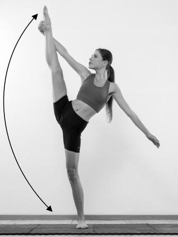 Answer all the questions. 1. The dancer in the picture below has performed a movement that has passed through the frontal plane. Is this statement true or false? Draw a circle around your answer.