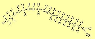 Structure of EFAs LINOLEIC ACIDS (Omega 6) Eighteen-carbon essential fatty acids that contain two double bonds.