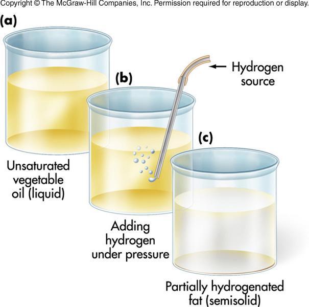 Hydrogenation Adds hydrogen to