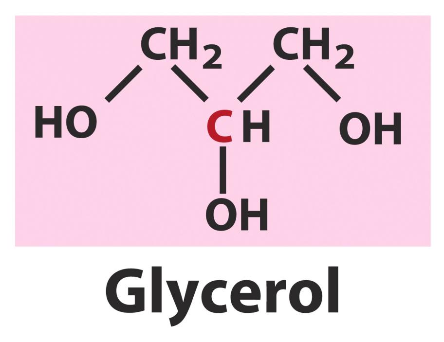 Storage Triacylglycerols (triglycerides, fats) Fatty acid esters of