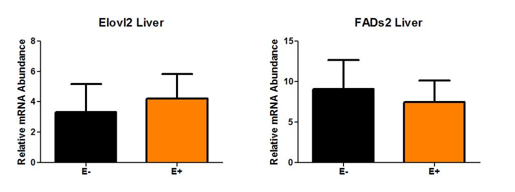 Vitamin E deficiency did not affect Elovl2 or