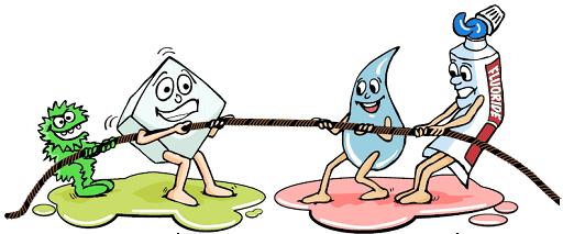 Causes of dental decay Decay = sugar+ bacteria+ time+ tooth surface Frequency of sugar consumption is
