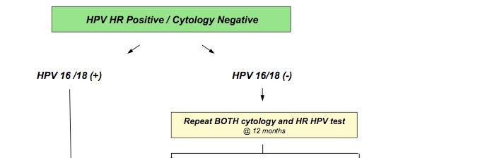 What is the recommended strategy to incorporate HPV-type Specific Testing? Updates Saslow.