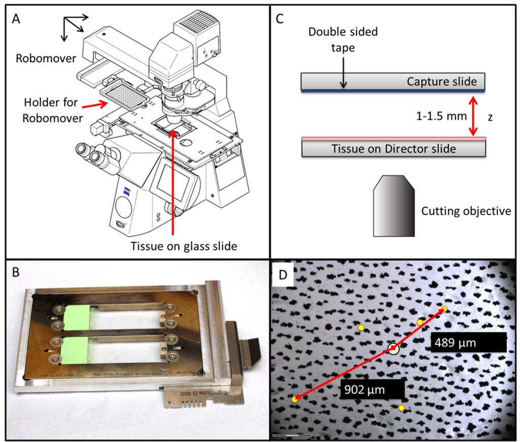 Figure 22: Modification of the Zeiss MicroBeam LCM system with a custom holder for on-chip cell capture. (A) Schematic of the LCM system showing the robomover with the capture holder attached.