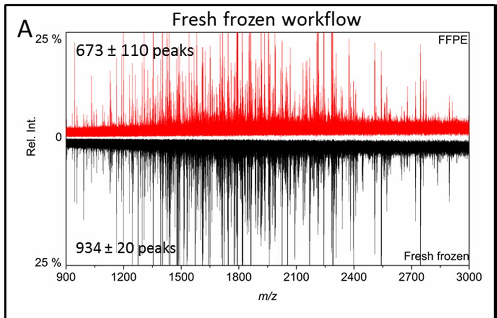 Figure 29: Comparison of average spectra (N = 3) from the processing of fresh frozen and FFPE mouse liver tissue with two optimized workflows