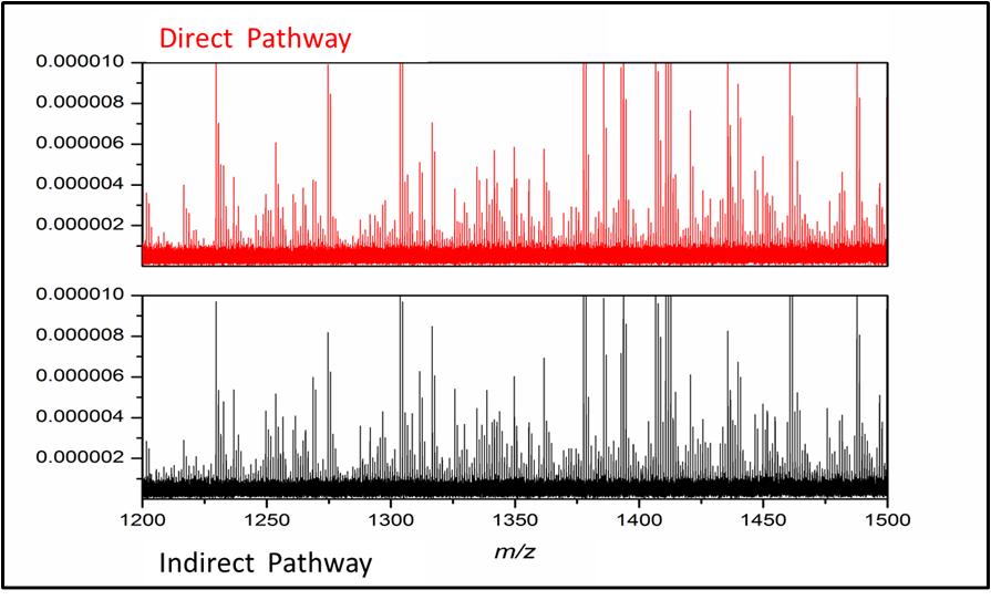 Figure 35: Average spectra from 200 dissected direct and indirect pathway MSNs from rat brain (N = 2).