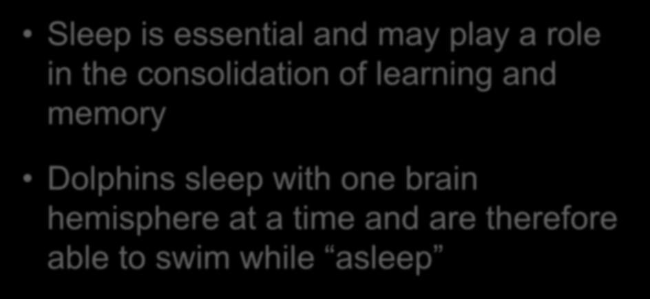 Sleep is essential and may play a role in the consolidation of learning and memory